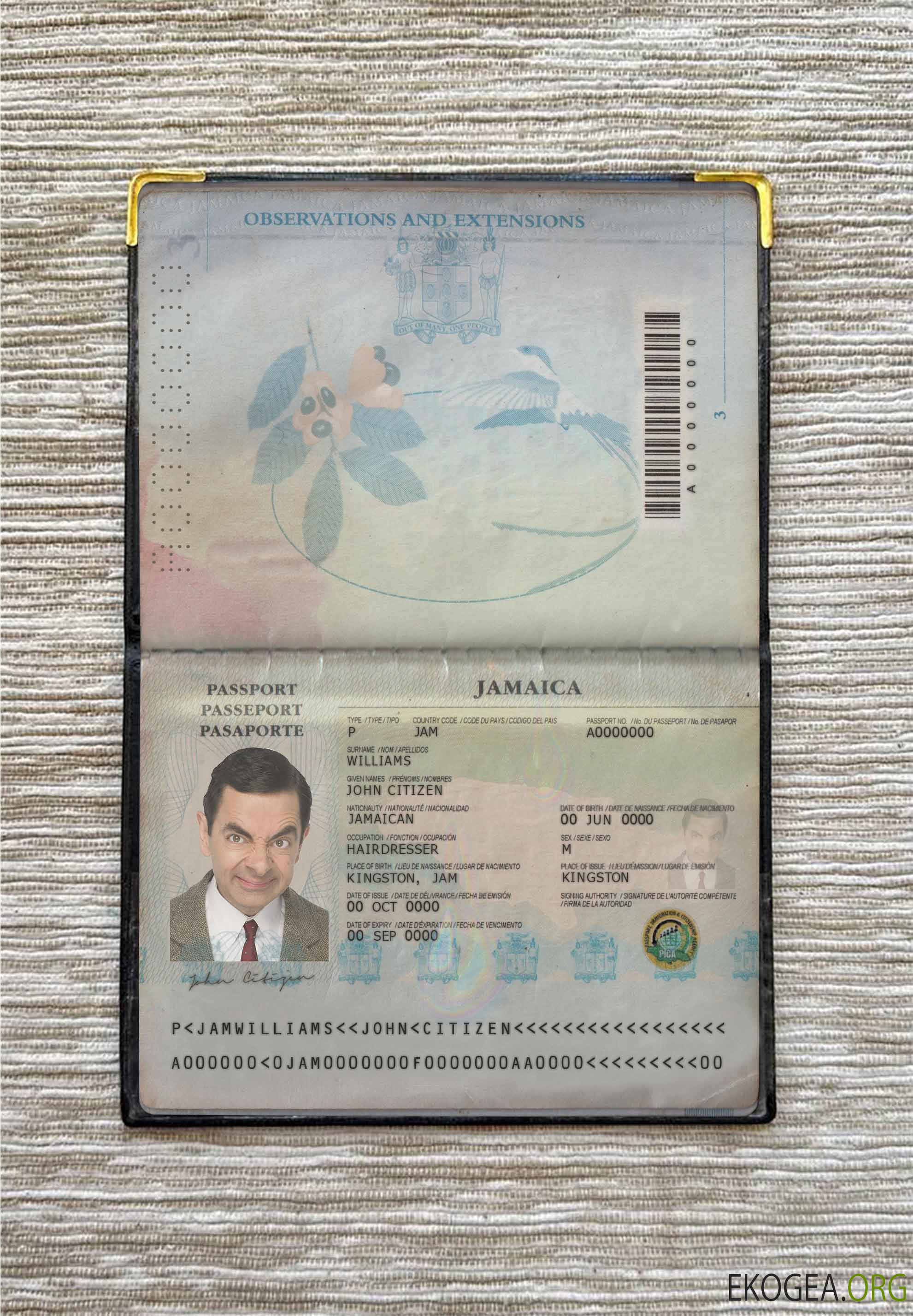 Look photo du col de la Jamaïque